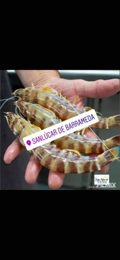 Piso De Dos Dormitorios En El Centro De Sanlúcar de Barrameda Екстериор снимка
